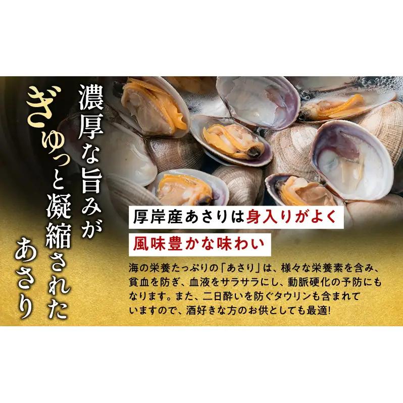 【3カ月 定期便 】訳あり 北海道 厚岸産 砂出し済み 活あさり 1kg×2 (合計2kg) 【厚岸海産】[ アサリ 魚貝 海鮮 大粒 美味しい 栄養 旨み 砂出し 水洗い 冷蔵 便利 ]