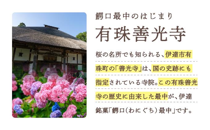 伊達銘菓 有珠善光寺  鰐口最中 20個セット（10個入×2箱）