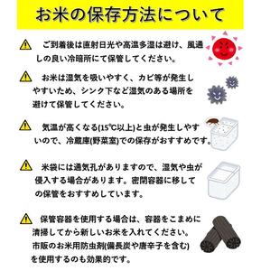 【希少品種】【特別栽培米】秋田県産サキホコレ 精米 10kg [N32-2301]