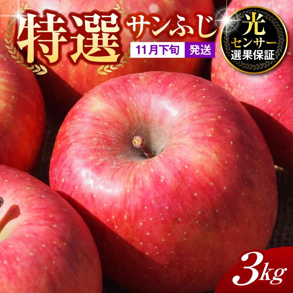 【2026年11月下旬発送】【特選】りんご 約3kg サンふじ 青森 五所川原