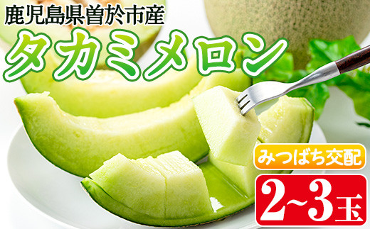 タカミメロン(2～3個入) メロン 青肉 果物【曽於市観光協会】A153-v01