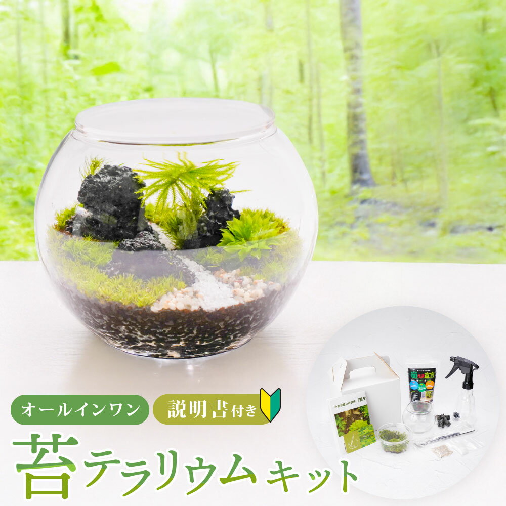 【ふるさと納税】癒やしと安らぎ 苔テラリウムキット ガラスボール容器 コケ5種類 石 苔テラリウム用SOIL 飾り砂 ピンセット 霧吹き スプーン 作り方＆育て方説明書 制作キット セット コケ 植物 ワークショップ体験 インテリア 日本製 大阪府 阪南市 送料無料