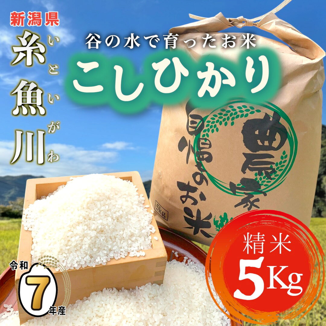 【ふるさと納税】米の里 東能生 コシヒカリ 5kg《令和7年産》 農家直送 糸魚川 こしひかり 5kg 美味しい 農家自慢 お弁当 お米 白米 おにぎり 2025年