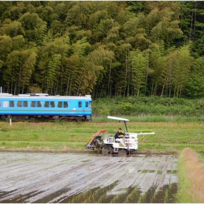 ふるさと納税 京丹後市 京都・網野郷産 特別栽培米コシヒカリ 精米5kg  京のプレミアム米「最高金賞」受賞 |  | 01
