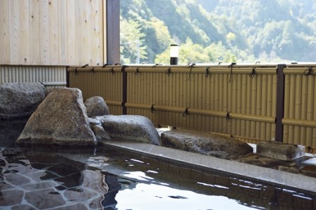 入鹿温泉 ホテル瀞流荘 ペア宿泊券 一泊 素泊まりプラン