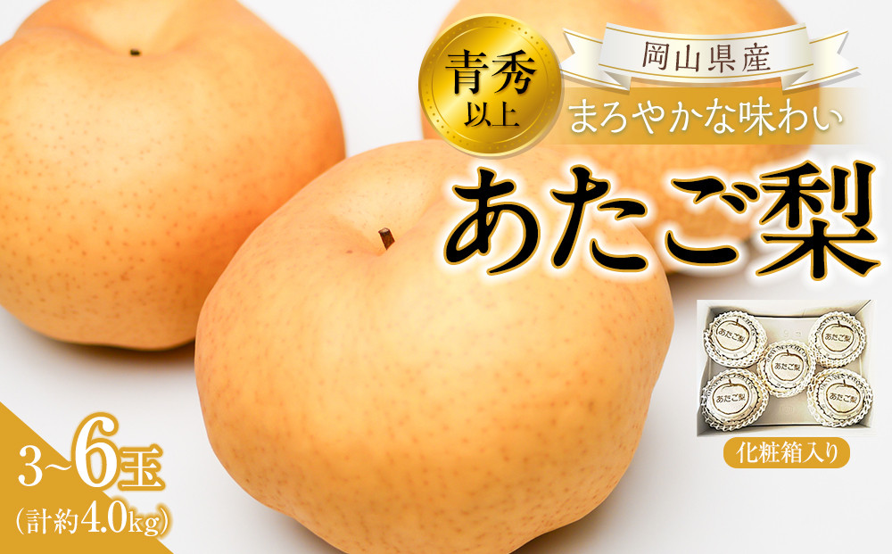 【2026年発送】岡山県産 あたご梨 3～6玉 青秀以上 (計約4.0kg)化粧箱入り