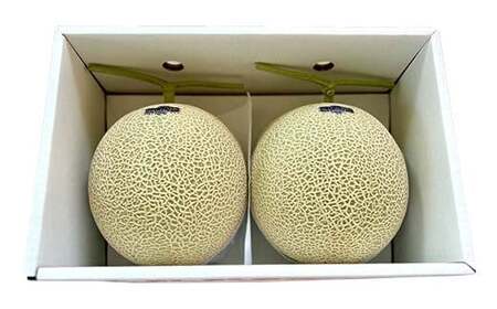 山形県産 厳選アールスメロン 秀品 3.5kg以上 2玉入り化粧箱 《先行受付2026年度9月発送開始》 青肉メロン メロン 青肉 デザート フルーツ 果物 くだもの 果実 食品 山形県 FSY-12