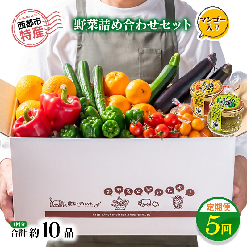 【ふるさと納税】西都市特産野菜詰合せセット「定期便」マンゴー入り（令和8年2月より5ヶ月間） ふるさと納税 定期便 お楽しみ