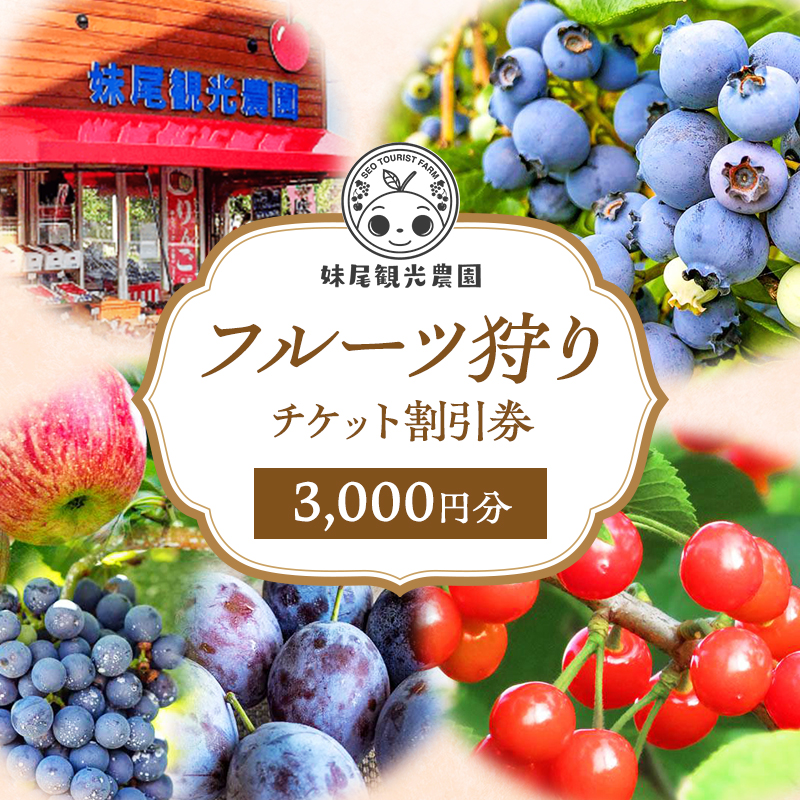 妹尾観光農園 フルーツ狩りチケット3000円 割引 チケット クーポン 利用券 フルーツ 旅行 体験 農園 北海道 仁木町 [フルーツショップ妹尾観光農園]