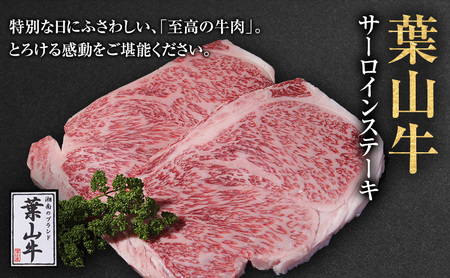 葉山牛サーロインステーキ黒毛和牛冨士屋牛肉店葉山牛【約250g×2枚】