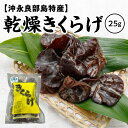 【ふるさと納税】乾燥 きくらげ 1袋 25g 沖永良部島 特産 国産 グルメ きのこ ヘルシー食材 乾燥きくらげ 料理 乾物 食材 材料 食品 安心 安全 南国きのこ苑 まるとよ農産 九州 鹿児島県 和泊町 お取り寄せ 送料無料