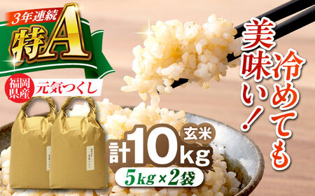 福岡県産 元気つくし 玄米 10kg (5kg×2袋)[BGAF020]元気つくし