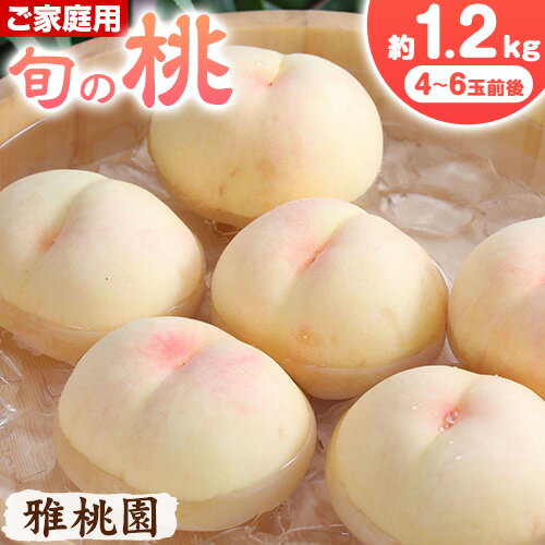 【ふるさと納税】 ご家庭用 旬の桃 約1.2kg ( 4~6玉前後 ) 株式会社創・和(雅桃園) 《7月上旬-8月下旬頃出荷》岡山県 浅口市 桃 もも フルーツ 果物 青果 旬 白桃 わけあり 訳あり【配送不可地域あり】