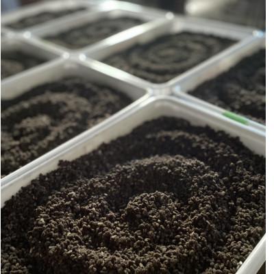 ふるさと納税 飛騨市 飛騨こうじ【黒麹】　1kg(500g×2パック) |  | 03