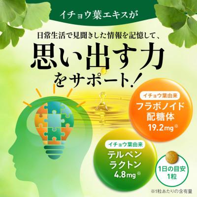 ふるさと納税 静岡市 イチョウ葉 サプリメント 認知ヘルプ 認知機能 記憶力向上 ホスファチジルセリン 3袋(約3ヶ月分) |  | 01