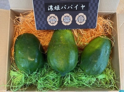 1044 濃姫パパイヤ　約2kg　サイズお任せ　岐阜県産　無農薬　無添加
