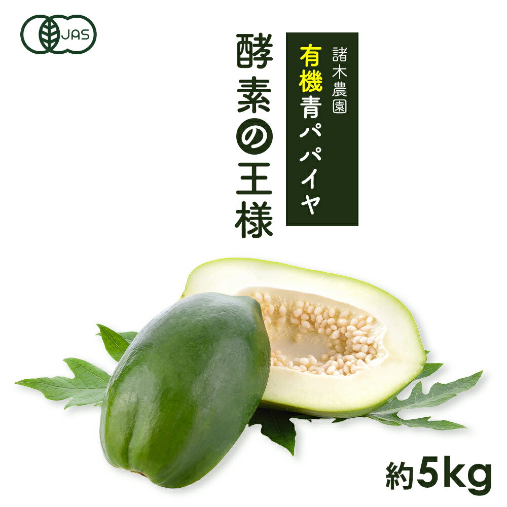 【ふるさと納税】【 期間限定 】鹿児島県産 有機 青パパイヤ 約 5kg （ 5～10玉 ） | パパイア パパイヤ 有機栽培 有機野菜 有機やさい 野菜 やさい 鹿児島県 大崎町 鹿児島 大崎 鹿児島県大崎町 楽天ふるさと 納税 お取り寄せ ご当地 特産品 名産品 取り寄せ野菜 お土産