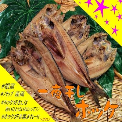 ふるさと納税 根室市 ＜12/21まで年内配送＞★一夜干しホッケ5枚 B-59005