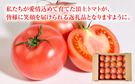 産地直送 俺たちの頂上トマト 3.5kg トマト とまと 野菜 やさい 旬 旬の野菜 新鮮な野菜 地元産野菜 熊本県 八代市