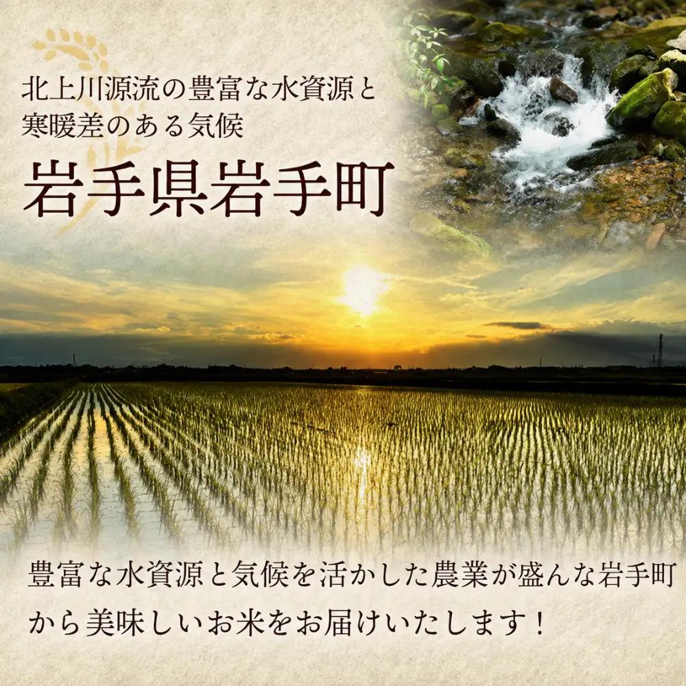 いわてっこ 10kg 令和8年度産 白米 新米 いわてっこ