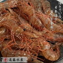 【ふるさと納税】6-030-002　ボタンエビ 1kg（40尾前後）　【海老・ぼたんエビ】　お届け：入金確認後、1週間～1ヶ月