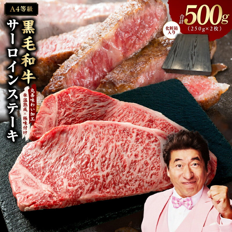 【ふるさと納税】黒毛和牛 サーロインステーキ A4ランク 250g × 2枚 500g 化粧箱入り 氷温熟成×極味付け サーロイン ステーキ ギフト プレゼント 贈り物 お取り寄せ 泉佐野市 送料無料 肉の泉佐野 氷温熟成牛 牛肉 熟成肉 氷温熟成 作り方 ふるさと納税オリジナル 限定