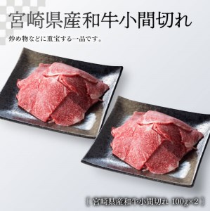 《生産者支援品》宮崎牛ロースステーキ (宮崎県産和牛こま切れ付き) 合計700g【肉 牛肉 国産 黒毛和牛 宮崎牛 肉質等級4等級以上の牛肉 ステーキ 牛小間 緊急支援 コロナウイルス事業者支援 牛肉