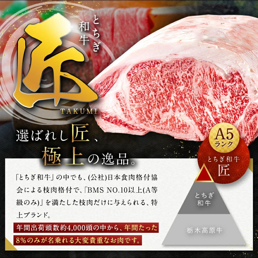 【とちぎ和牛】牛サーロインステーキ200g×4枚[栃木県共通返礼品／栃木県産]｜数量限定 和牛 牛肉 国産牛 ブランド牛 お肉 栃木県 矢板市