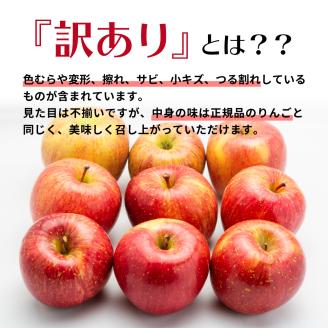 【2025年3月上旬発送】 【訳あり】 りんご 15kg 詰め合わせ 計2種(サンふじ と 他1種) 不揃い フルーツ