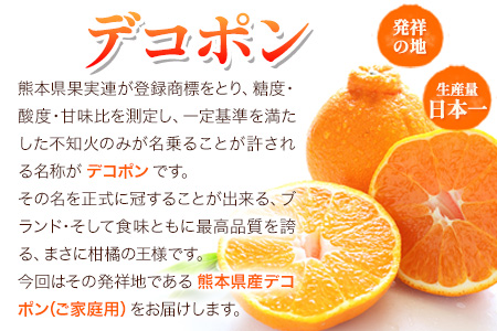 デコポン 訳あり デコポン 約 5kg 前後(約12-24玉前後) 糖度13度以上 みかん 生産量日本一 個別光センサー選果 熊本県産 (荒尾市産含む) 柑橘 フルーツ 旬 不知火 でこぽん デコポン