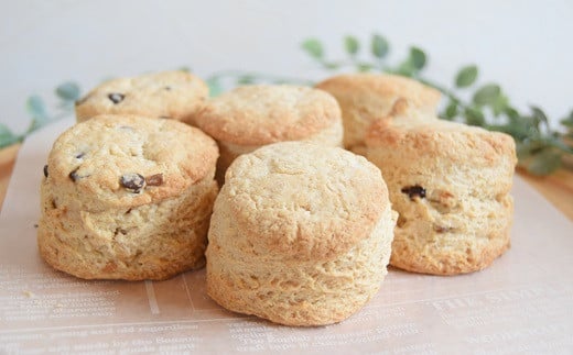 ブランチやおうちカフェに…体に優しい手作りビスケット6個セット【café Lokahi】 全粒粉 ビスケット ザクザク食感 優しい甘さ スイーツ アレンジ 手づくり 美味しい 人気