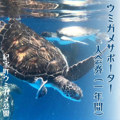 紀宝町ウミガメ公園 ウミガメサポーター（1年間） / ウミガメ サポーター ウミガメ公園 三重県 紀宝町 イベント 餌やり