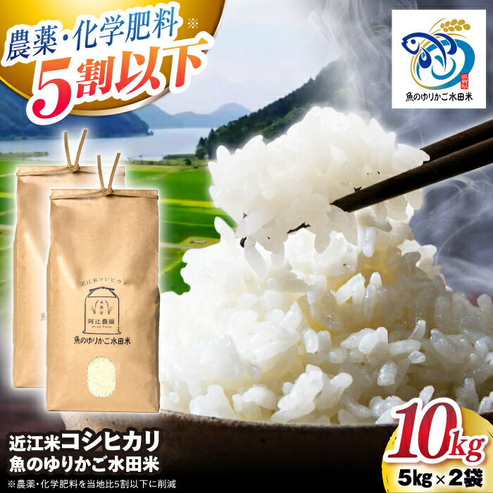 【ふるさと納税】【令和7年産新米】 近江米 コシヒカリ 10kg（5kg×2） 魚のゆりかご水田米 滋賀県長浜市/阿辻農園[AQAW012] コシヒカリ こしひかり 近江米 滋賀 水田 米 お米 白米 10kg 新米人気 おすすめ