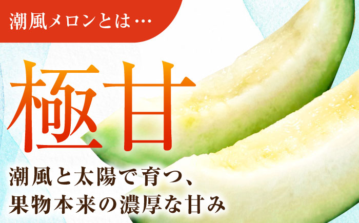 よこすか潮風メロン 大玉4L 2玉セット 計約3㎏ 【井上農園】 [AKDJ001]