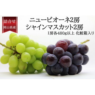 【ふるさと納税】岡山県産詰合/ニューピオーネ2房(1房480g以上)・シャインマスカット晴王2房(1房480g以上)【配送不可地域：離島・北海道・沖縄県】【1499106】