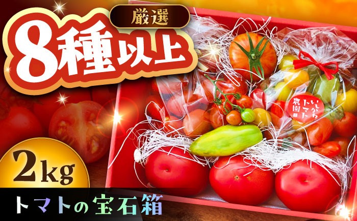 
            トマトの宝石箱 2kg / トマト とまと 大玉トマト ミニトマト 詰め合わせ / 恵那市 / クリエイティブファーマーズ ［AUAH014］
          