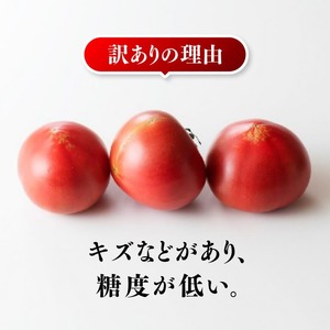 【訳あり】宮崎県産とまと 川南町産トマト１ｋｇ（９～１８個） 【 宮崎県産 九州産 川南町産 トマト とまと 野菜 ヘルシー 訳あり わけあり E6602 】