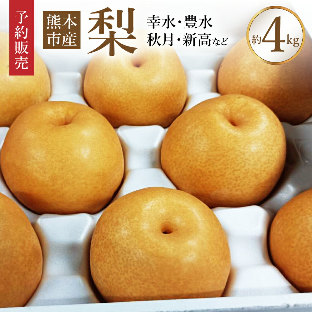 【ふるさと納税】 【予約販売】熊本市産 梨（幸水・豊水・秋月・新高など） 約4kg なし ナシ フルーツ 果物 くだもの 果実 果肉 熊本産 九州産 先行予約 送料無料 【2025年8月下旬～9月下旬迄発送予定】