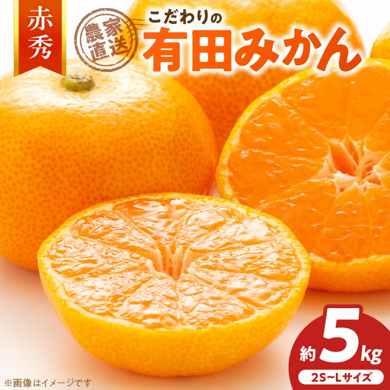 【ふるさと納税】【2026年先行予約】【限定】 こだわりの 有田みかん 赤秀 約5kg 藤秀園 みかん 温州みかん 和歌山 有田 送料無料