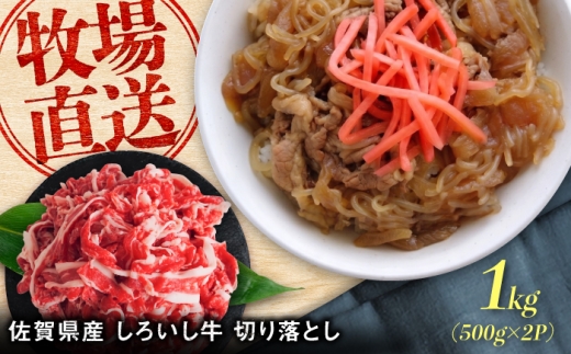 佐賀県産 しろいし牛 切り落とし 1000g（約500g×2パック） / 牧場直送 国産 牛肉 切落し 切り落とし / 佐賀県 / 有限会社佐賀セントラル牧場 [41ASAA321]