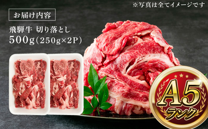 A5等級 飛騨牛 切り落とし 500g (250g×2P) 瑞浪市 / マルチョウ渡辺精肉店 牛肉 和牛 国産 ギフト お取り寄せ [AZCW001]