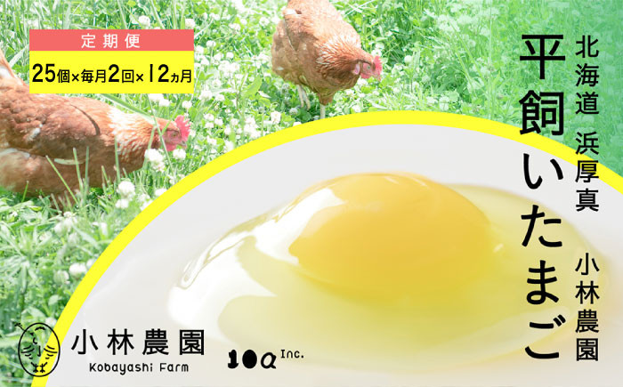 
                  【月2回・全24回定期便】平飼い有精卵 25個 12ヵ月 1年 《厚真町》【テンアール株式会社】 たまご 卵 鶏卵 玉子 生卵 平飼い 北海道 定期便 12ヵ月 1年 計600個 [AXAN040]
                