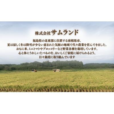 ふるさと納税 南相馬市 ミルキークイーン 白米 5kg 令和7年産  | 米 こめ コメ 大粒 福島県 サムランド |  | 01