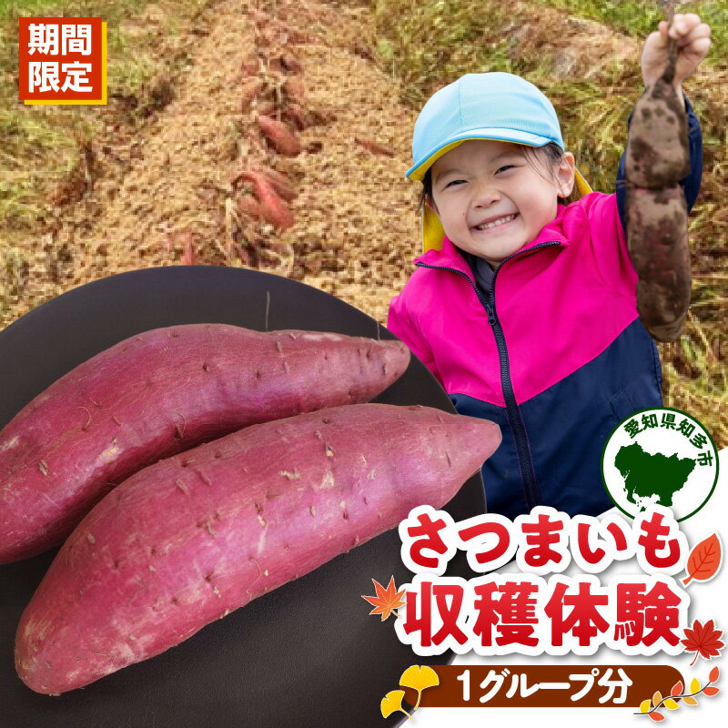 【ふるさと納税】＼ 期間限定 ／ さつまいも収穫体験【1グループ分（10人まで）】※じゃらんから体験予約をお願いします※ レジャー 体験 紅はるか 野菜 収穫体験 サツマイモ 5000円 送料無料