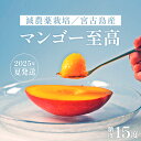 【ふるさと納税】《先行予約 2025年発送》沖縄・宮古島 減農薬栽培マンゴー 1kg【最良品】(AR211)｜贈答用・糖度15度以上！｜琉球マルシェ | 贈答 至高 最良品 数量限定 マンゴー フルーツ 名産品 ご当地 人気 ギフト プレゼント おすすめ お取り寄せ 沖縄 宮古島 南国