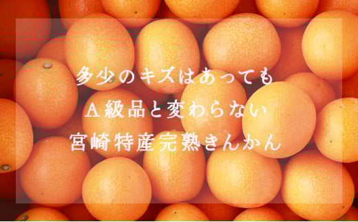 KU446 ＜先行予約＞【訳あり】完熟きんかん１kg 【玉様ファーム】