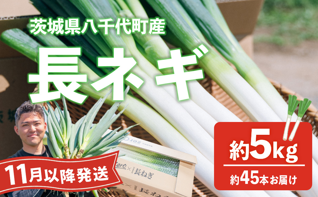 【先行受付 2026年11月以降発送開始】長ネギ 約5kg 約45本 茨城県産 八千代町産 野菜 農家直送 化成肥料不使用 有機肥料100% ねぎ 長ねぎ ネギ 旨味 認定農業者 9000円 [DJ004ya]