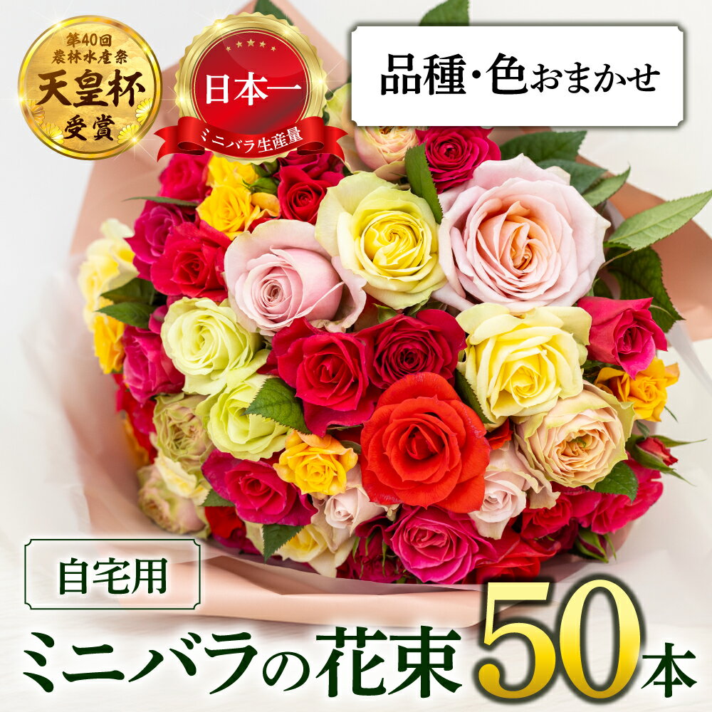 【ふるさと納税】産地直送 ミニバラ 花束 50本 [申込から3か月以内 お届け] ラッピング付 切花 切り花 カットローズ 品種 色 おまかせ 訳あり 訳アリ 四季咲き ミニ バラ 花 ガーデニング 生産量 日本一 ※沖縄 離島配送不可 薔薇 セントラルローズ [mt2085] 10000円 1万