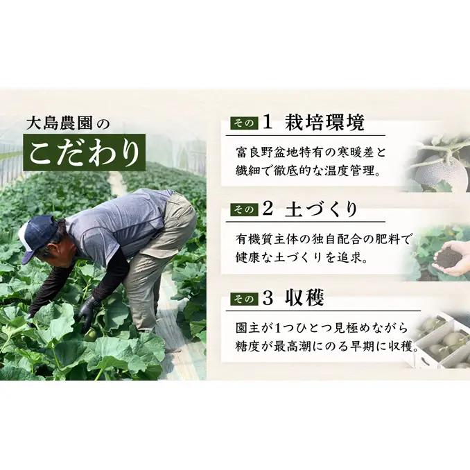 【2026年発送】≪特秀≫富良野 メロン 赤肉 2玉 計3.6kg以上 北海道