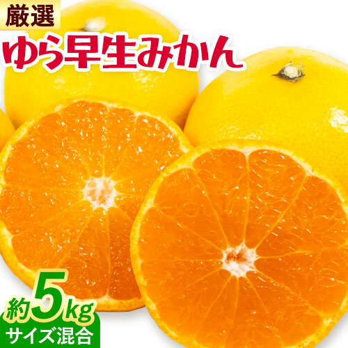 【ふるさと納税】＜2025年出荷先行予約＞みかん ゆら早生みかん 厳選 5kg サイズ混合 GOGO農園《2025年10月上旬-11月末頃出荷》 和歌山県 日高川町 ゆら早生みかん みかん 早生 柑橘 蜜柑 フルーツ 送料無料
